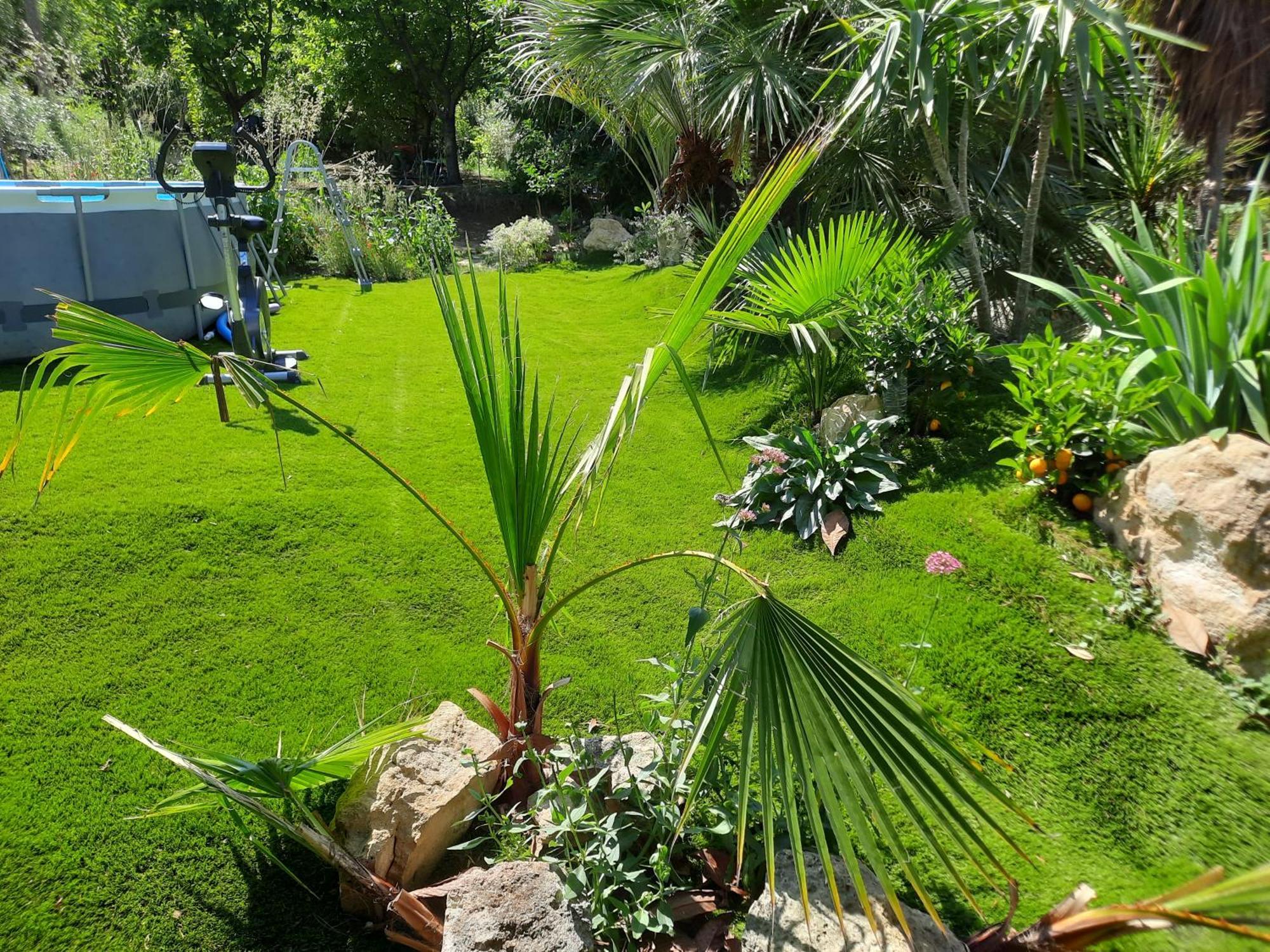 إستريس La Palmeraie المظهر الخارجي الصورة